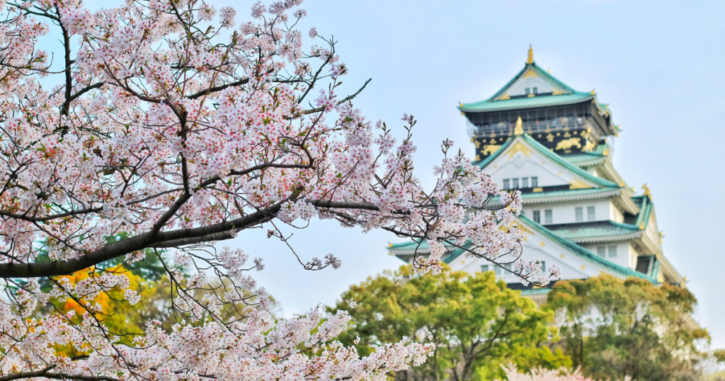 大阪城と桜