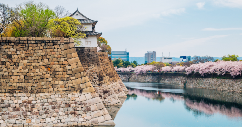 大阪城の桜