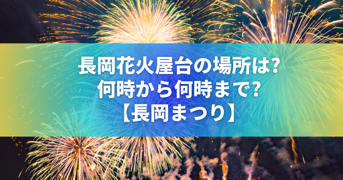 長岡まつり大花火大会チケット 2024 8月3日 2枚 （8/2・3開催】一生に 