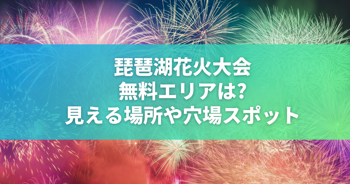 至急2024琵琶湖花火大会A席2枚 【公式通販】